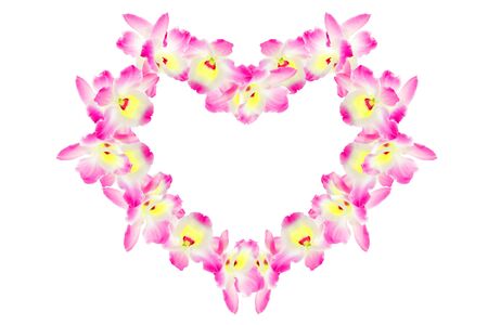 Purple orchid on white backgroundの写真素材