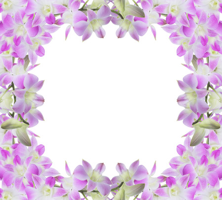 Beautiful pink Orchid, isolated on a white background.の写真素材