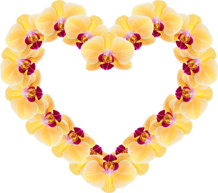 Heart from yellow orchid isolated on white.の写真素材