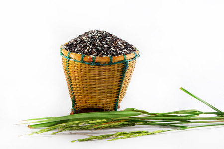 Rice berries in basketの写真素材