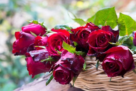 Roses and glass in basketの写真素材
