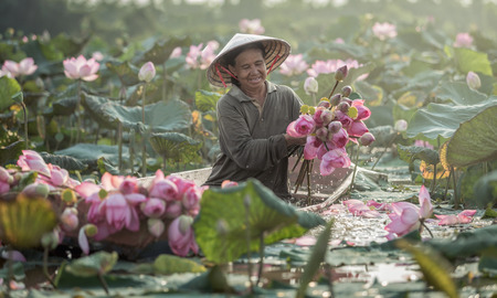 Woman holds a lotus flower in the garden ,The living conditions of the rural drought is making bracelets. To keep lilies and lotus go on sale.の写真素材