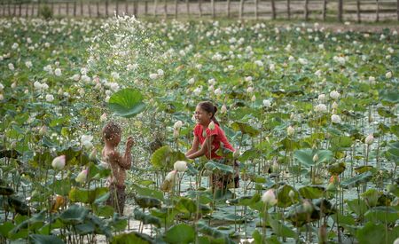Happy time boy and girl on the lotus pondの写真素材