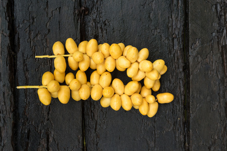 date-palm Fruit on Old wooden  date-palm fruit is grown in areas north and east Thailand