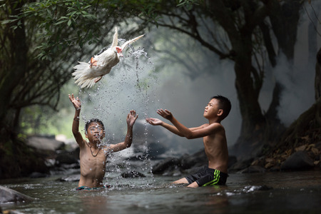The boy threw a white duck from the stream.の写真素材
