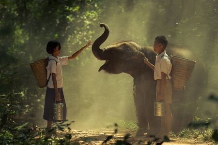 Boy and girl carrying a basket and carry tiffin to school together with young elephant. At BanBua School District Kok Tum Surin Province,Thailand. Note:Focus elephant.の写真素材