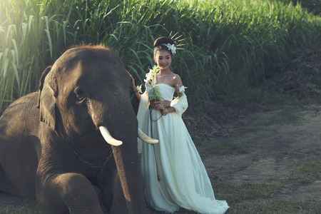 Asian,Beautiful girl in white dress with elephant.の写真素材