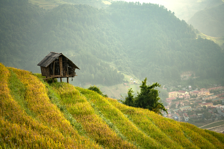 Asian,Vietnam Rice fields on terraced of Mu Cang Chaiの写真素材