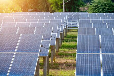 Sunlight photovoltaic cells in the solar panel farmの写真素材