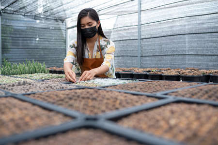 Asian young women use the tablet working in cactus farm
