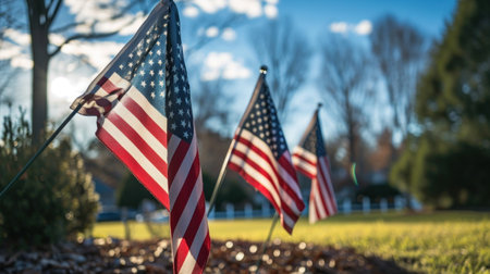 American flags raised for holiday celebrationsの素材