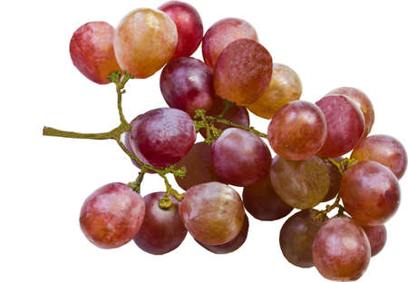 red grapes on white の写真素材