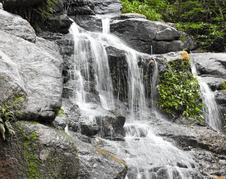 forest and streamの写真素材