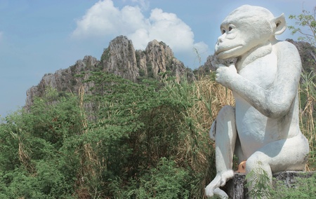 sacred monkey stone  
