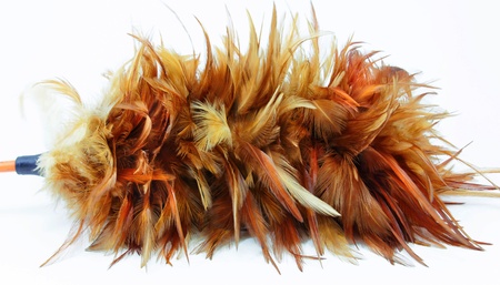 Feather duster on white backgroundの写真素材