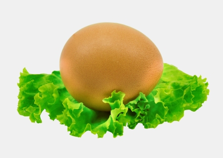 an egg isolated on white background with clipping pathの写真素材