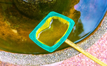 a hand net for aquariums isolated on the poolの写真素材
