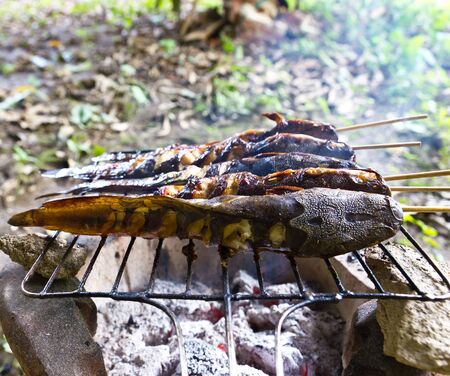 Grilling Catfishの写真素材