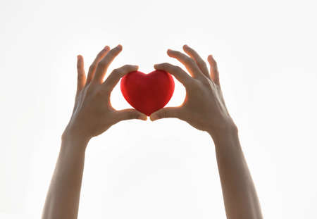 Woman holding a red heart background blur for valentine day. heart in heart hands white background. love charityの写真素材