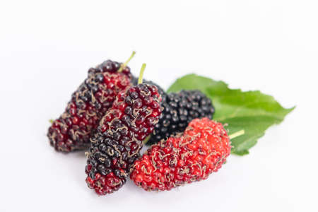 organic mulberry fruits with green leaves isolated on white background.の写真素材