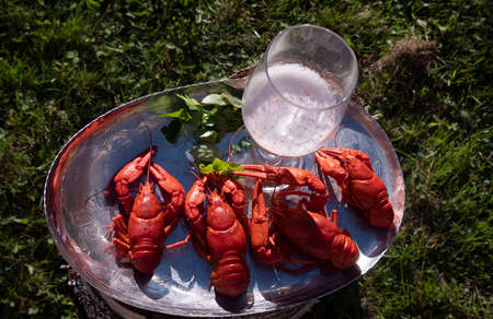 Crayfish with beer, food in the summer garden