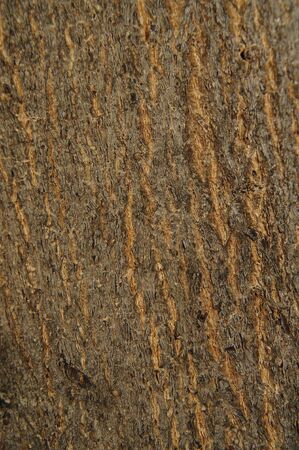 textureの写真素材