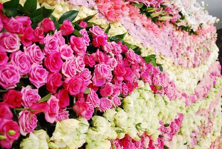 wallの写真素材
