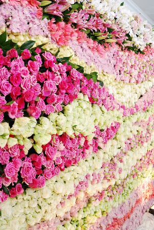 wallの写真素材