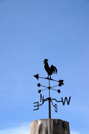 roosterの写真素材