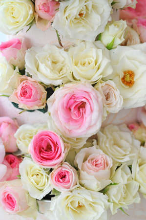 mix roseの写真素材