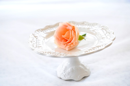 rose on plateの写真素材