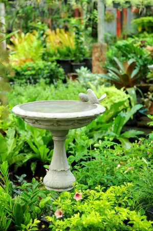 in garden