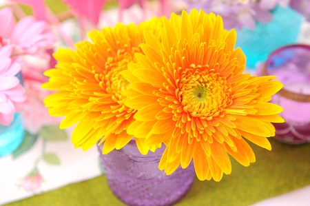 Flowers in potの写真素材