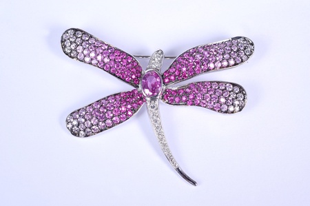 Jewelry butterflyの写真素材