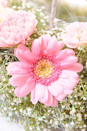 flowerの写真素材