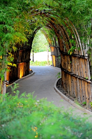 road in the bambooの写真素材