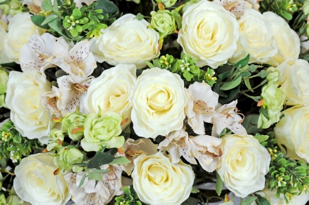 flower backgroundの写真素材