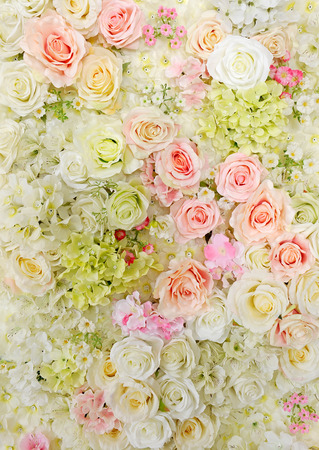 wall flowerの写真素材