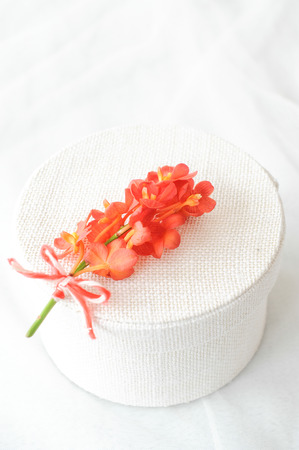 Beautiful orchid boutonniere on boxの写真素材