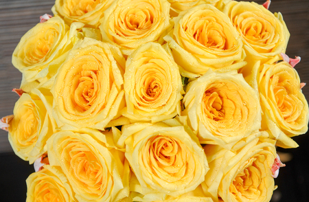Yellow rose close-up. Bouquets of rosesの写真素材