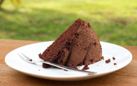 Slice of chocolate cake with fork. Garden background.