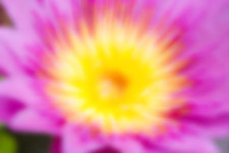 Blur nature backgroundの写真素材