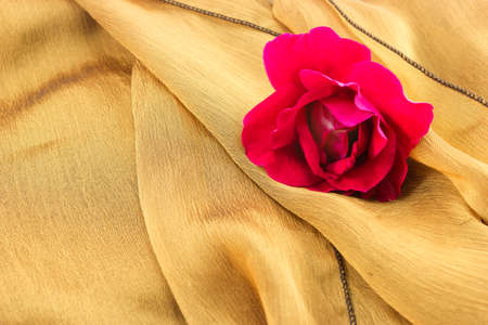 Red rose on silk cloth. Vintage style.の写真素材