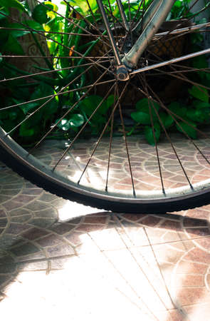 Closeup of sunlight trough a  Bike Wheel in a garden. With vintage style.の写真素材