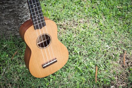 Ukulele on grass field. Acoustic music instrument. Easy to learning. Four line. Fade color tone with dark vignette. Vintage style.の写真素材