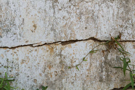 old wall textureの写真素材