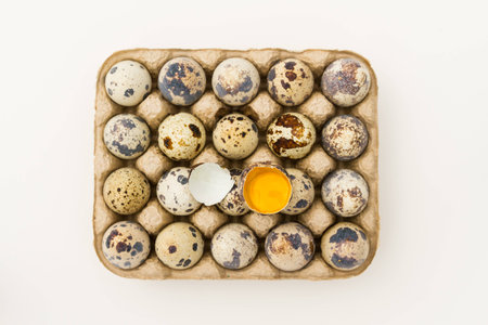 Quail eggs in the cartonの写真素材