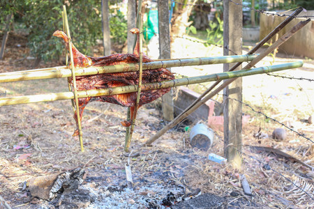 Barbecued suckling pigの写真素材