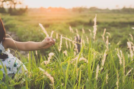 sunsetの写真素材