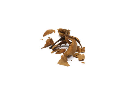 Dried Leaves With Frangipani Flower  Isolated on white background.の写真素材